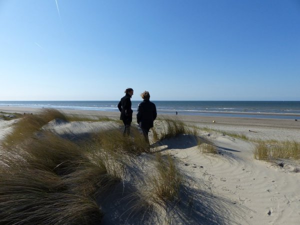 dunes