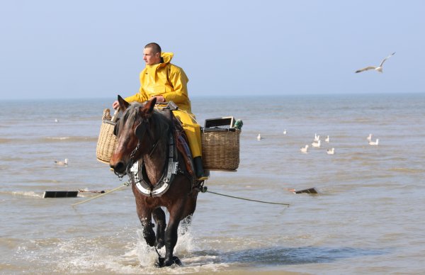 pêche à cheval